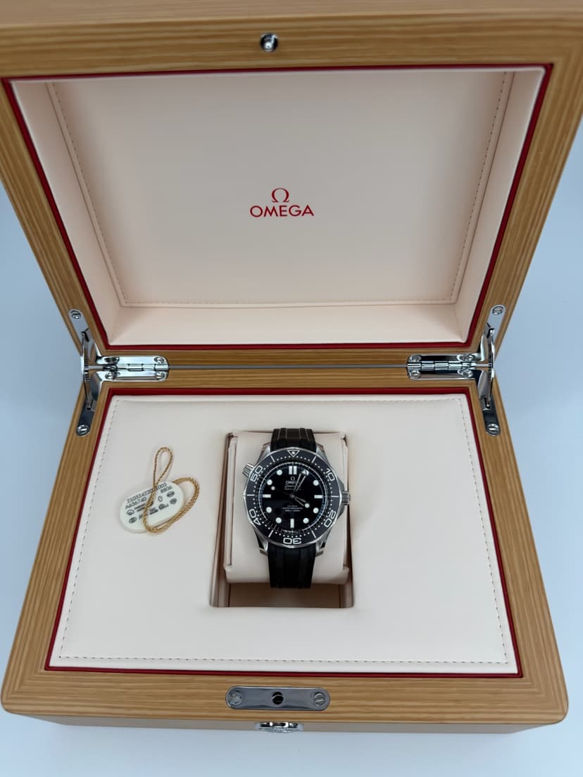 Omega Seamaster 21032422001003